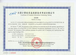 《網(wǎng)站組建與維護精品課 構(gòu)建穩(wěn)固、高效的數(shù)字門戶》